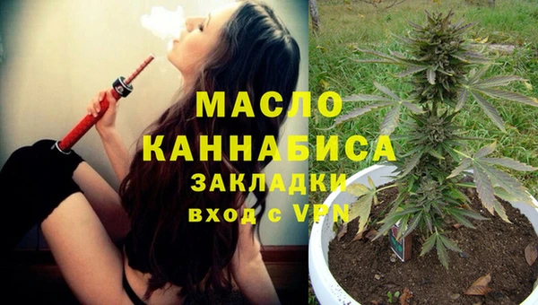 гашик Ладушкин