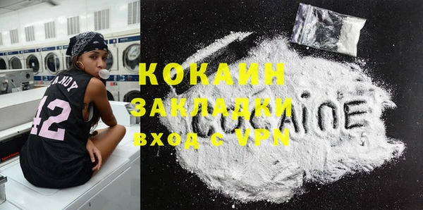 гашик Ладушкин