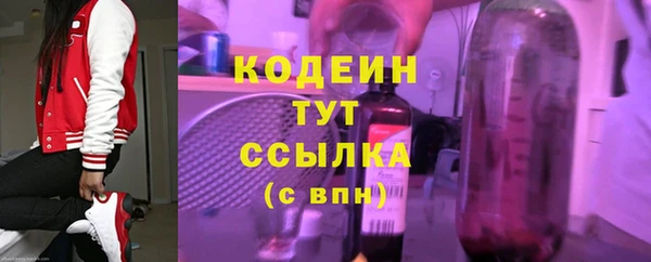 гашик Ладушкин