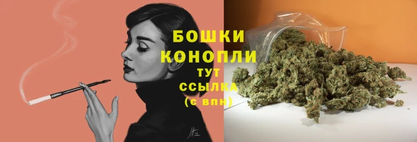 гашик Ладушкин