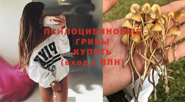 гашик Ладушкин