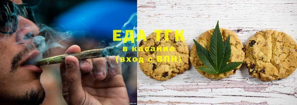 гашик Ладушкин
